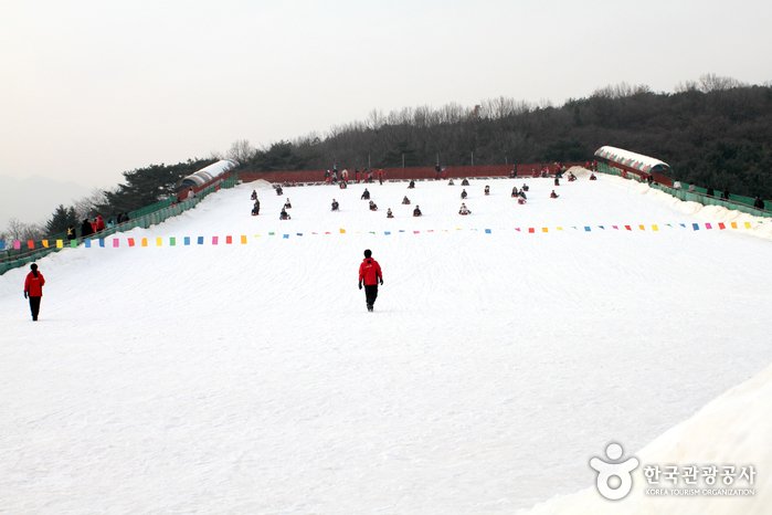 [Gyeonggi-do] Pista para Trineos de Nieve de Seoulland (서울랜드 눈썰매장)