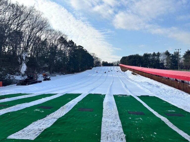 [Gyeonggi-do] Pista para Trineos del Pueblo Folclórico Coreano (한국민속촌 눈썰매장)
