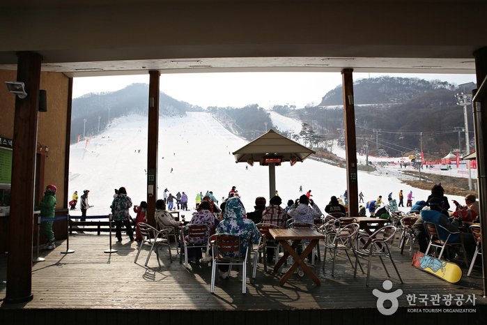 [Gyeonggi-do] Estación de Esquí de Jisan Forest Resort (지산 포레스트 리조트 스키장)