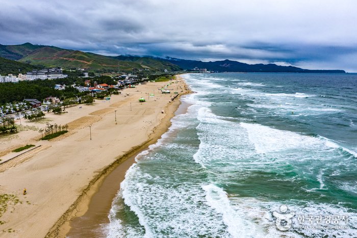 [Gangwon-do] Playa Mangsang (망상해변)
