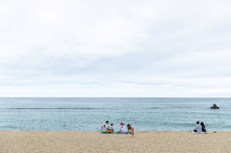 [Gangwon-do] Playa Anmok (안목해변)