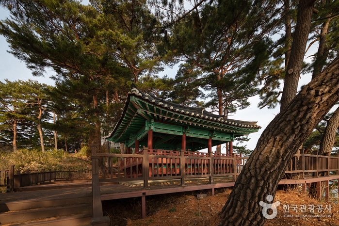 [Gangwon-do] Pabellón Jukdojeong y Observatorio de la Isla de Jukdo (죽도정&죽도 전망대)