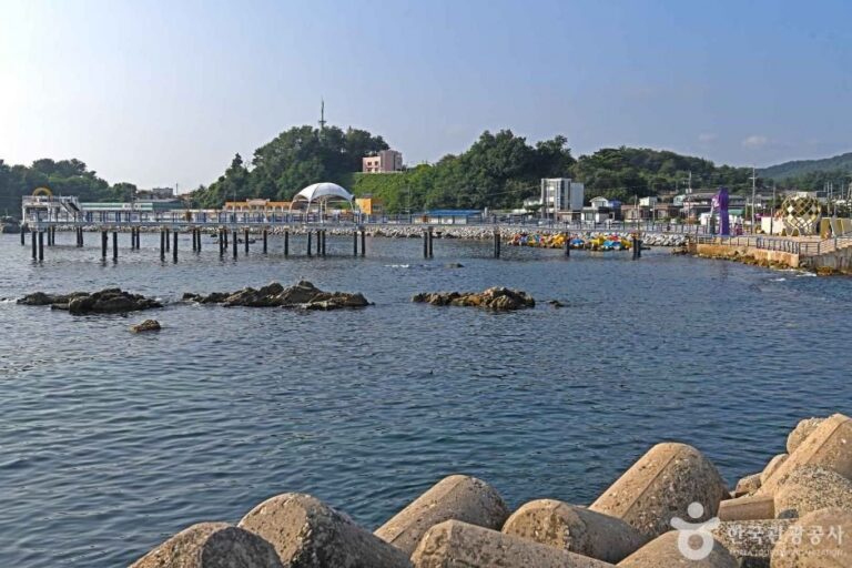 [Gangwon-do] Puerto de Daejin (대진항)