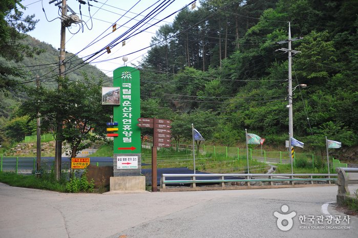 [Gangwon-do] Bosque Recreativo Nacional del Monte Baegunsan en Wonju (국립 백운산자연휴양림(원주))