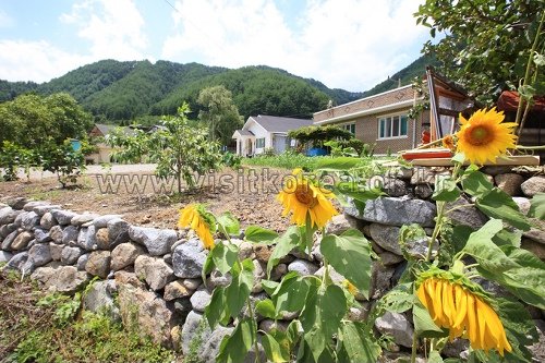 [Gangwon-do] Aldea del Valle Deokpung de Samcheok (삼척 덕풍계곡마을)