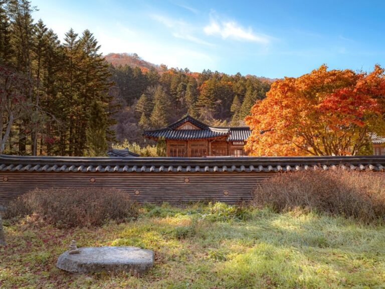 [Gangwon-do] Templo Woljeongsa y Bosque de Abetos del Templo Woljeongsa (월정사·월정사 전나무숲)
