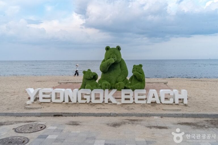 [Gangwon-do] Playa Yeongok (연곡해변(연곡해수욕장))