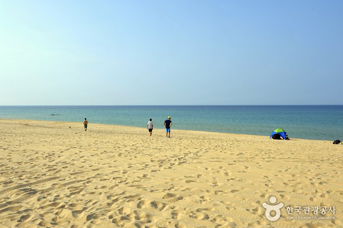 [Gangwon-do] Playa Jumunjin (주문진해변)