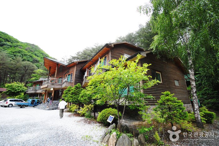 [Gangwon-do] Bosque Recreativo Nacional del Monte Gariwangsan (국립 가리왕산자연휴양림)