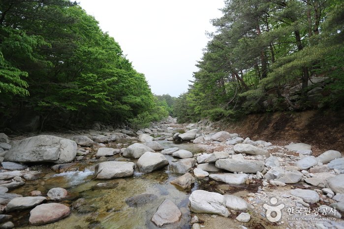 [Gangwon-do] Valle Misiryeong (미시령계곡)