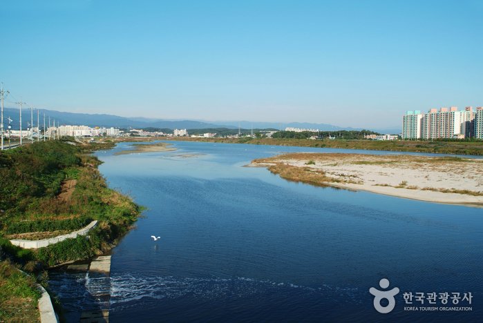 [Gangwon-do] Arroyo Namdaecheon (Gangneung) (남대천(강릉))