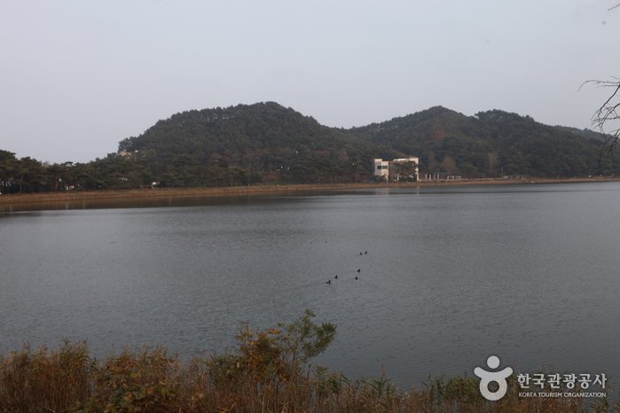 [Gangwon-do] Laguna Hwajinpo (화진포호)