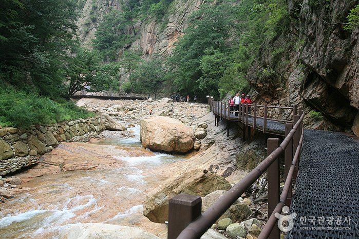 [Gangwon-do] Valle Osaek Jujeongol (오색주전골)
