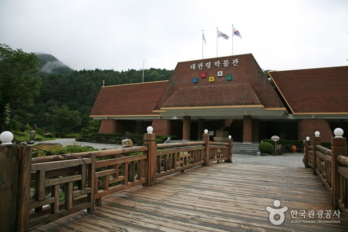 [Gangwon-do] Museo Daegwallyeong (대관령박물관)