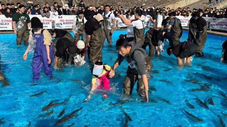[Gangwon-do] Festival Ggong Ggong del Río Hongcheongang (홍천강 꽁꽁축제)