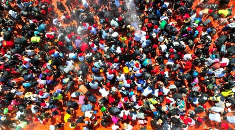 [Gangwon-do] Festival del Tomate de Hwacheon (화천토마토축제)