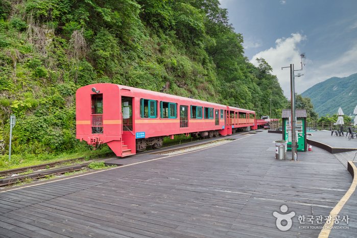 [Gangwon-do] Rail Park de Gangchon (Ciclorraíl de Gimyujeong) (강촌레일파크 (김유정레일바이크))