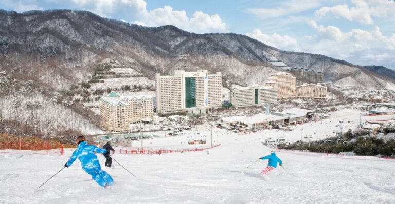 [Gangwon-do] Vivaldi Park Ski World (비발디파크 스키장)