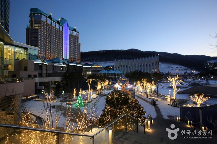 [Gangwon-do] Casino Kangwon Land (강원랜드 카지노)