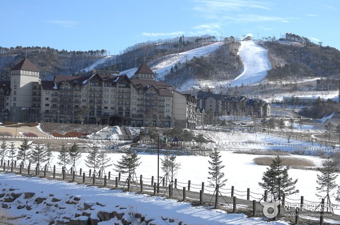 [Gangwon-do] Estación de Esquí Alpensia Resort (알펜시아리조트 스키장)