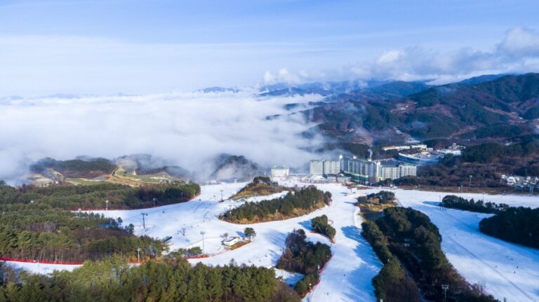 [Gangwon-do] Welli Hilli Park Snow Park (웰리힐리파크 스노우파크)