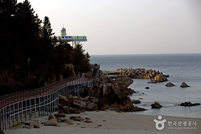 [Gangwon-do] Sendero Dulle-gil de Hajodae (하조대 둘레길)