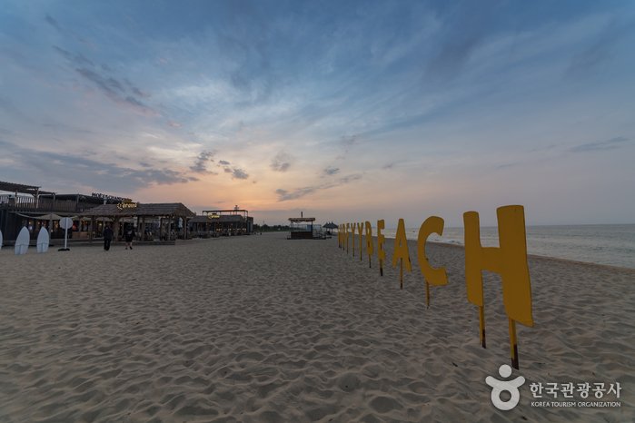 [Gangwon-do] Surfyy Beach en Yangyang (서피비치, 서핑(양양))