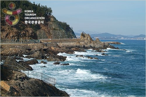 [Gangwon-do] Puerto de Samcheok – Costanera Saecheonnyeon (삼척항 – 새천년도로변)