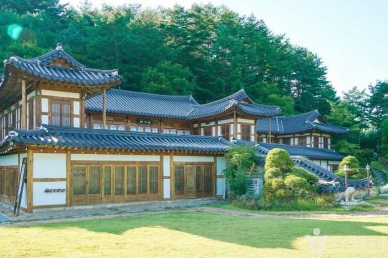[Gangwon-do] Jeonggangwon (정강원 관광농원)