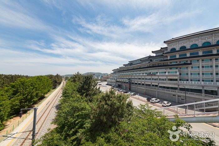 [Gangwon-do] BENIKEA Donghae Boyang Hot-spring Convention Hotel (베니키아 프리미어 동해보양온천 컨벤션호텔)