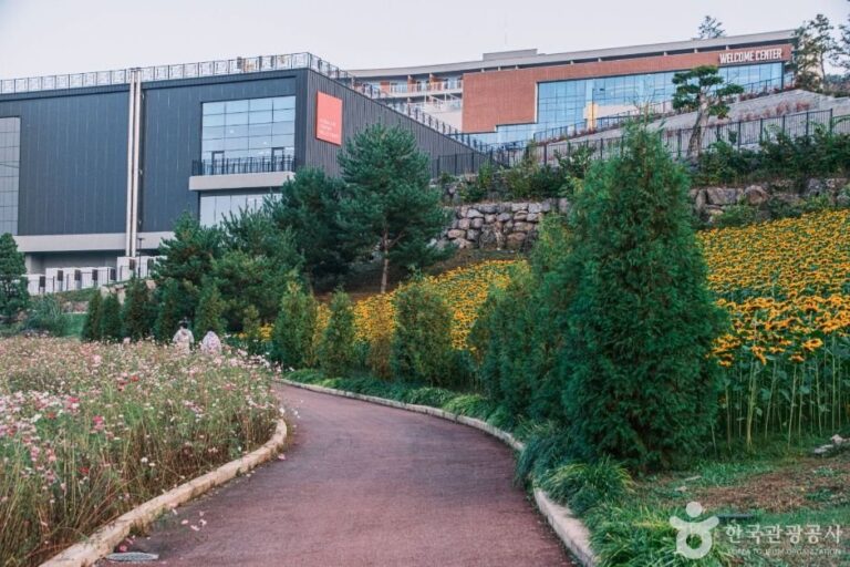 [Chungcheongbuk-do] Edu Farm de Jeungpyeong (Belle Foret Resort) (증평 에듀팜(벨포레 리조트))