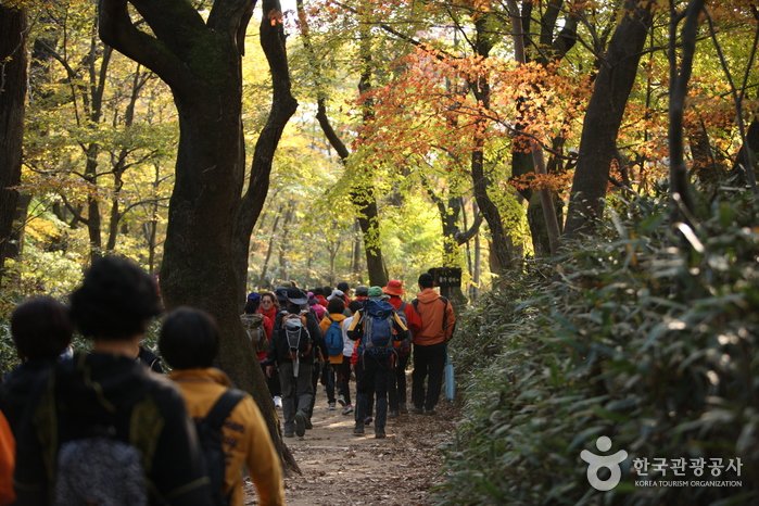 [Chungcheongbuk-do] Parque Nacional del Monte Songnisan (속리산국립공원)