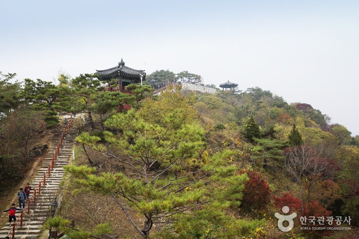 [Chungcheongbuk-do] Parque de los Patrimonios Culturales de Cheongpung (청풍문화재단지)
