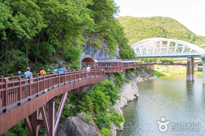 [Chungcheongbuk-do] Sendero Jando del Río Danyanggang (단양강 잔도)