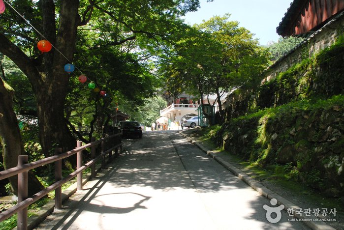 [Chungcheongnam-do] Templo Donghaksa en Gongju (동학사(공주))