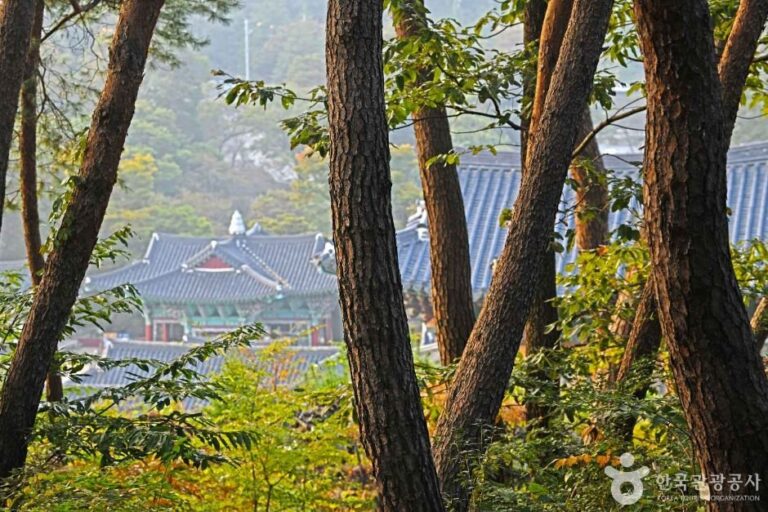 [Chungcheongnam-do] Baño del Bosque de Pinos del Templo Magoksa (마곡사 천연송림욕장)