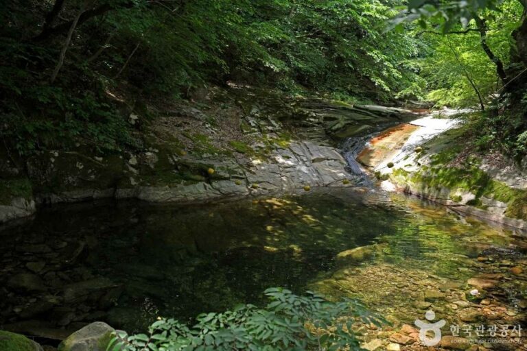 [Chungcheongnam-do] Valle Donghaksa (동학사계곡)