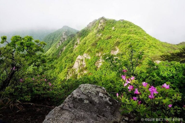 [Chungcheongnam-do] Parque Nacional del Monte Gyeryongsan (계룡산국립공원)