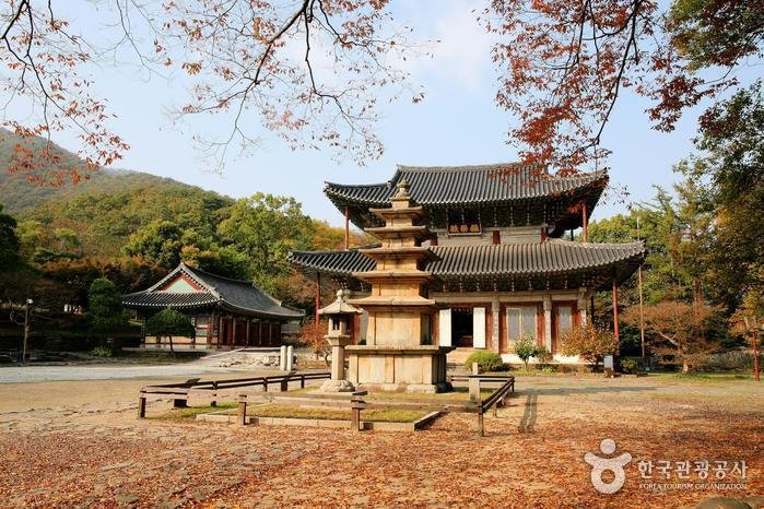 [Chungcheongnam-do] Templo Muryangsa en Buyeo (무량사(부여))