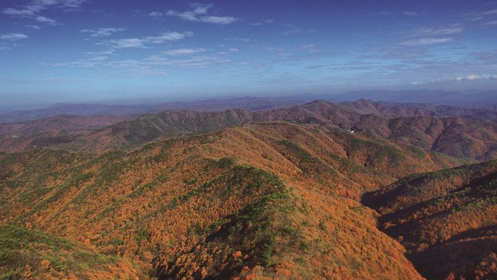 [Chungcheongnam-do] Parque Provincial del Monte Chilgapsan (칠갑산도립공원)