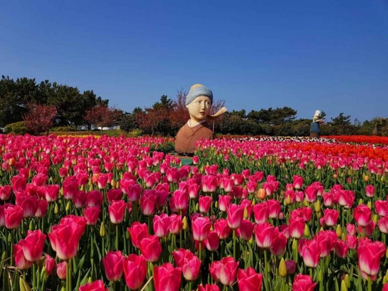 [Chungcheongnam-do] Korea Flower Park (코리아플라워파크)