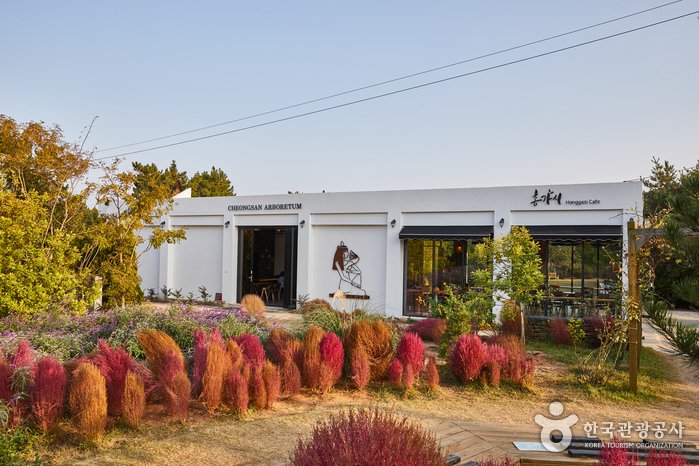 [Chungcheongnam-do] Arboreto Cheongsan (청산수목원)