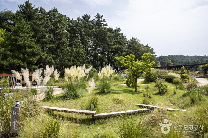 [Chungcheongnam-do] Arboreto Chollipo (천리포수목원)