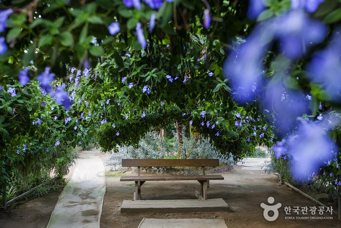 [Chungcheongnam-do] Jardín Botánico de las Flores del Mundo (세계꽃식물원)