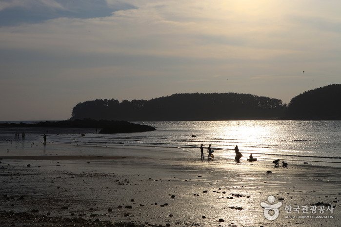[Chungcheongnam-do] Playa Muchangpo (무창포해수욕장)