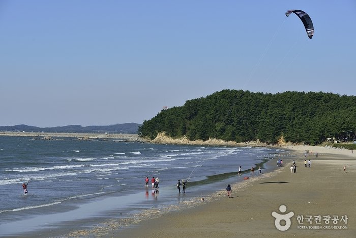 [Chungcheongnam-do] Playa Chunjangdae (춘장대해수욕장)
