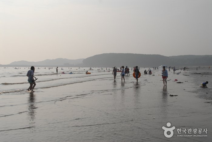 [Chungcheongnam-do] Playa Mongsanpo (몽산포해수욕장)