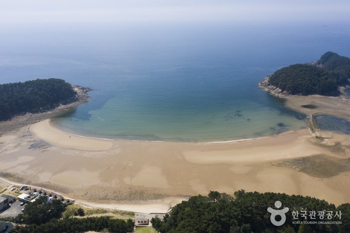 [Chungcheongnam-do] Playa Cheollipo (천리포해수욕장)