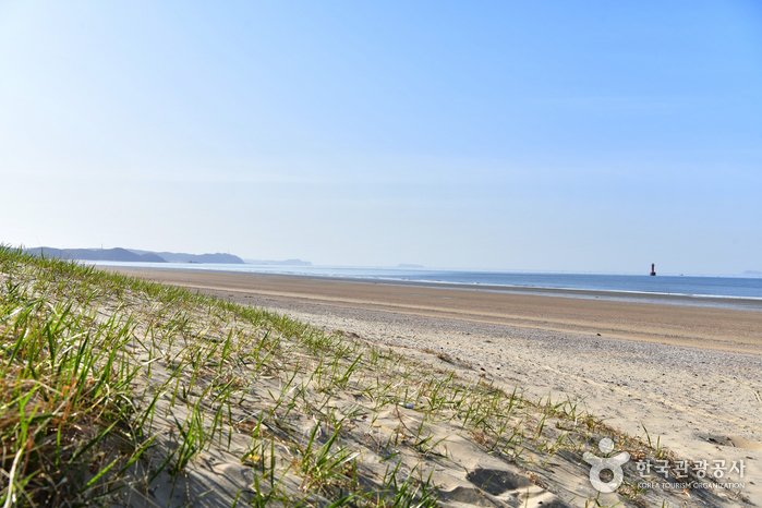 [Chungcheongnam-do] Playa Sambong (삼봉해수욕장)