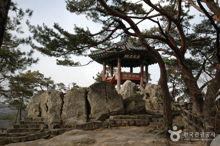 [Chungcheongnam-do] Acantilado Nakhwaam (낙화암)